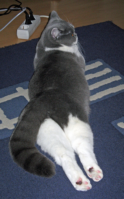 Kaiyun APP-俱乐部财务风险管理不足,俱乐部财务风险管理不足怎么写